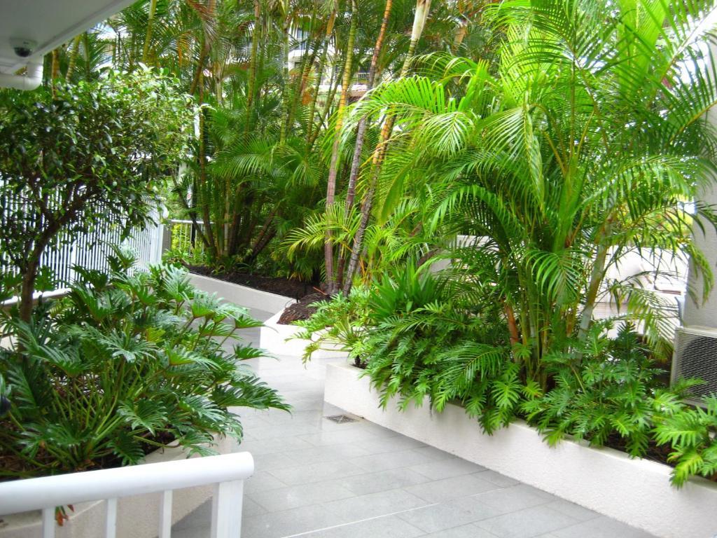 Costa D'Ora Holiday Apartments Голд-Кост Экстерьер фото